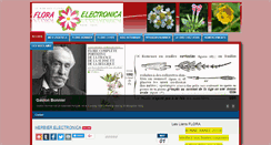 Desktop Screenshot of flora-electronica.com